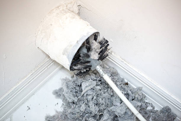 Best Dryer Vent Cleaning Services  in Westchester, IL